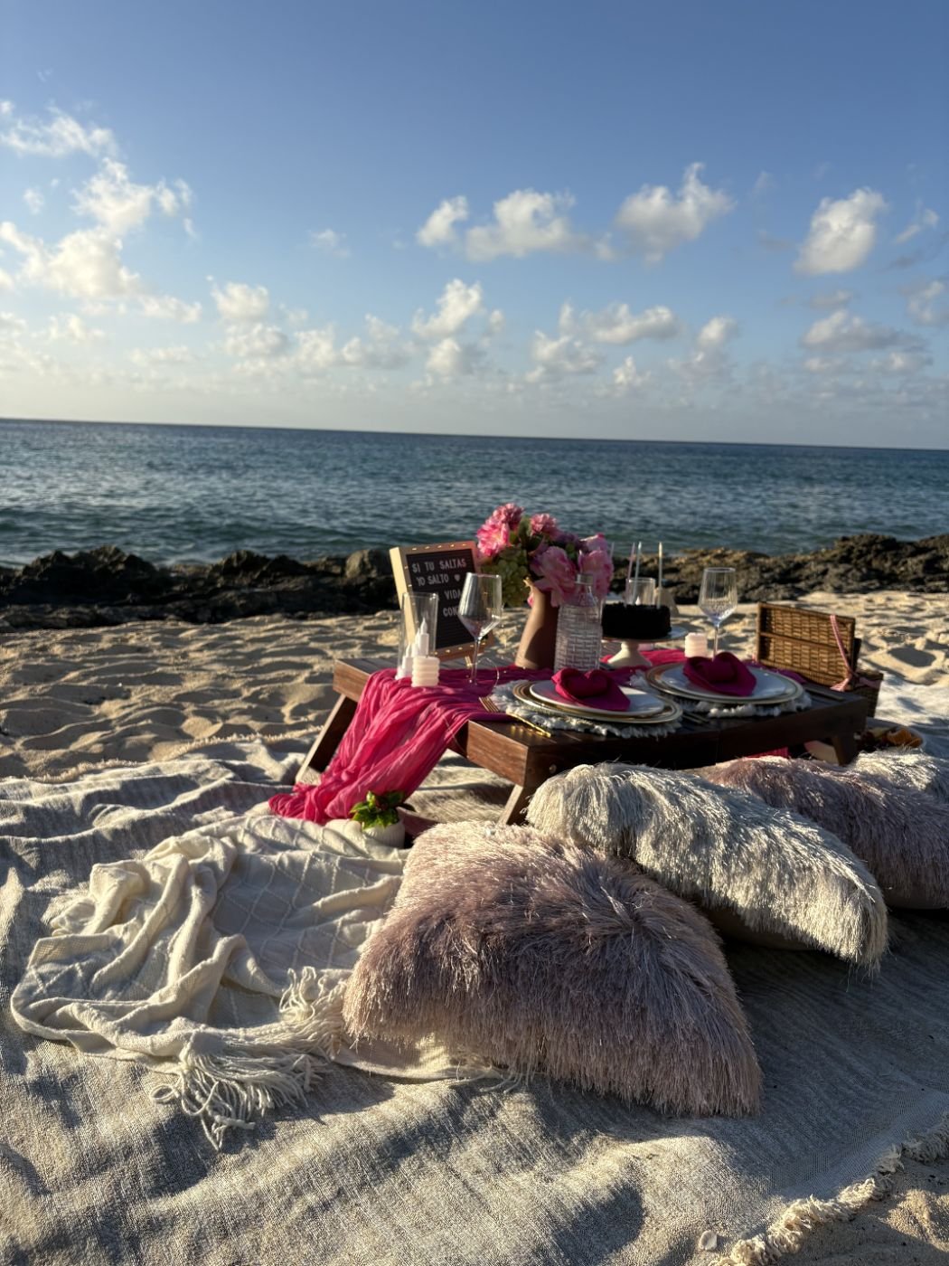 Special Picnic setup
